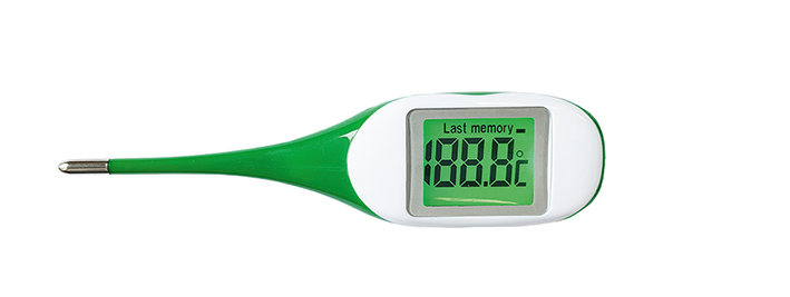 Термометр электронный ProTemp 602