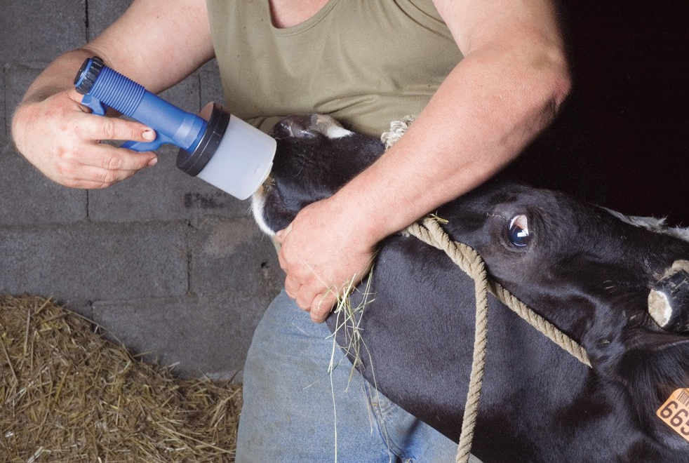 Шприц для вливания лекарств, 200 мл